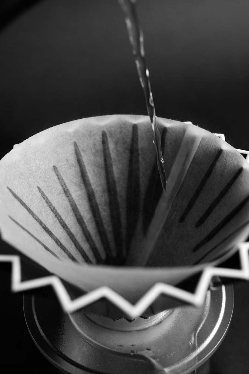Sibarist Filters - MEDIUM CONE for 02 - Image 6
