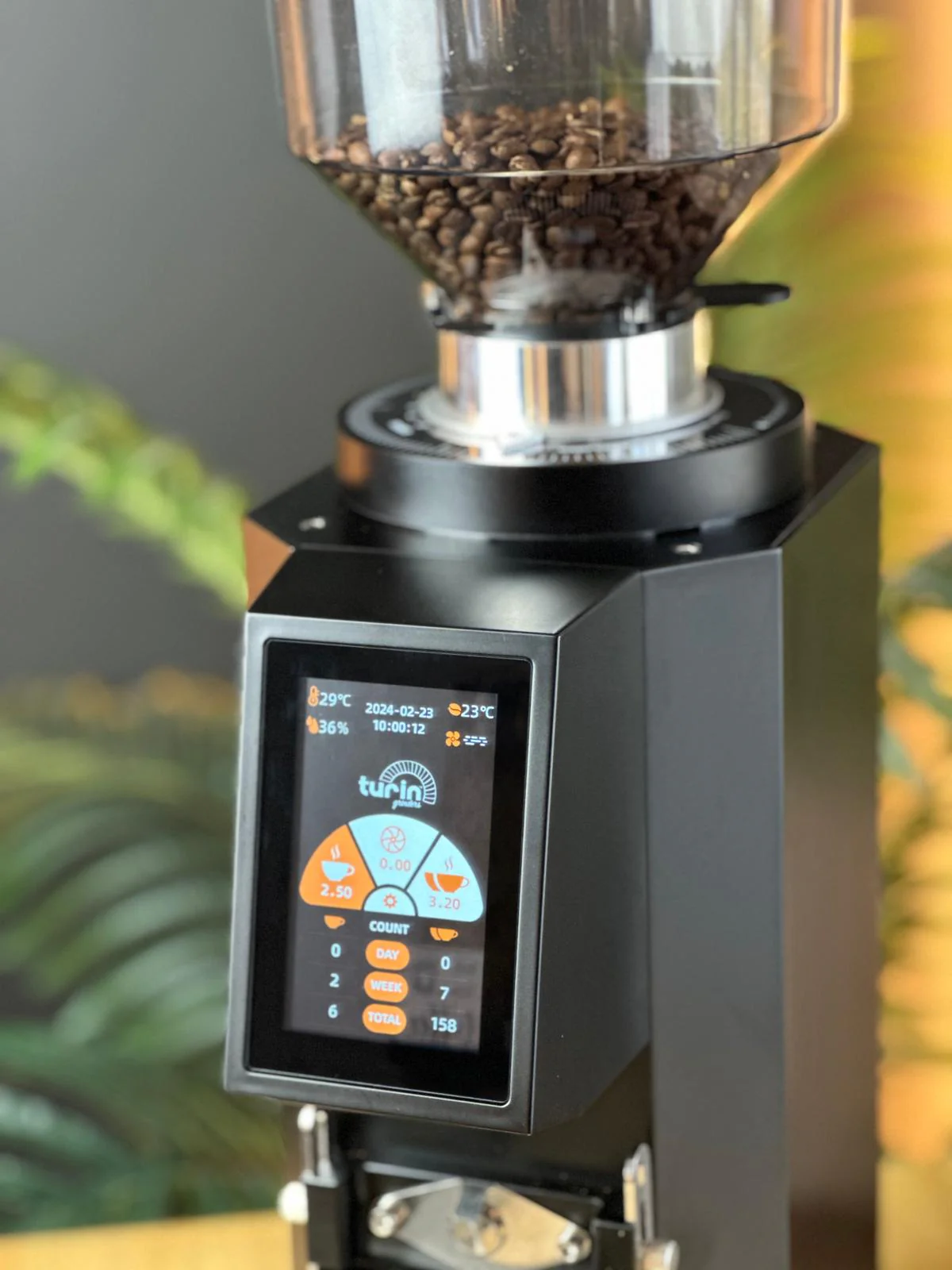 Turin ZF83 Commercial Espresso Grinder - Image 13