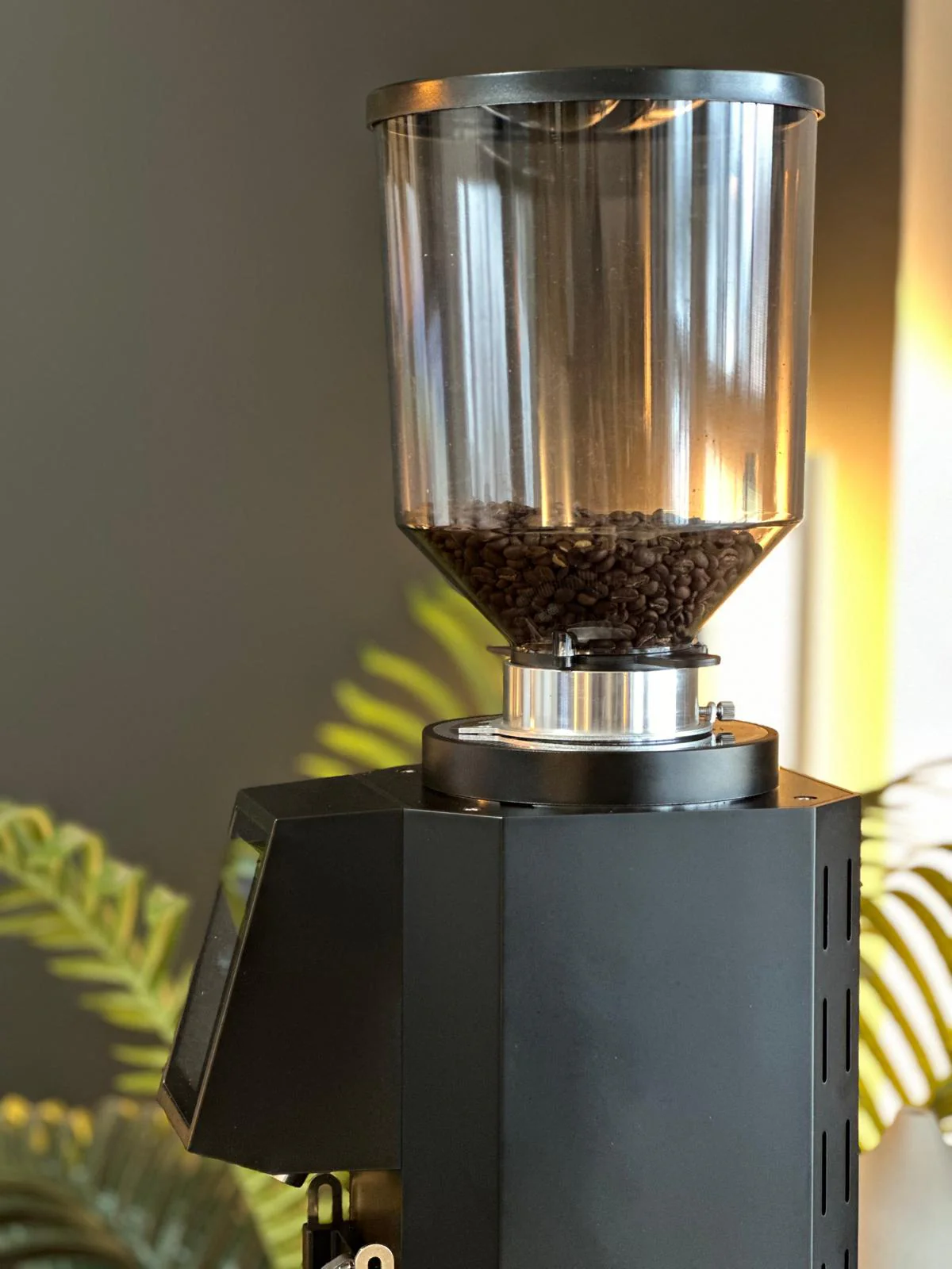 Turin ZF83 Commercial Espresso Grinder - Image 16