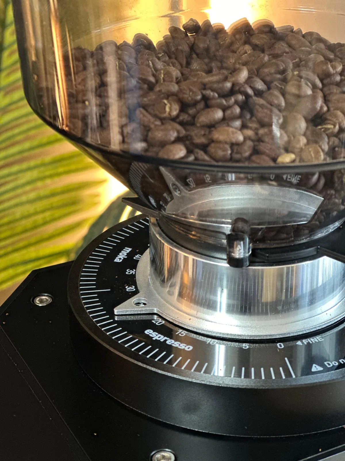 Turin ZF83 Commercial Espresso Grinder - Image 25