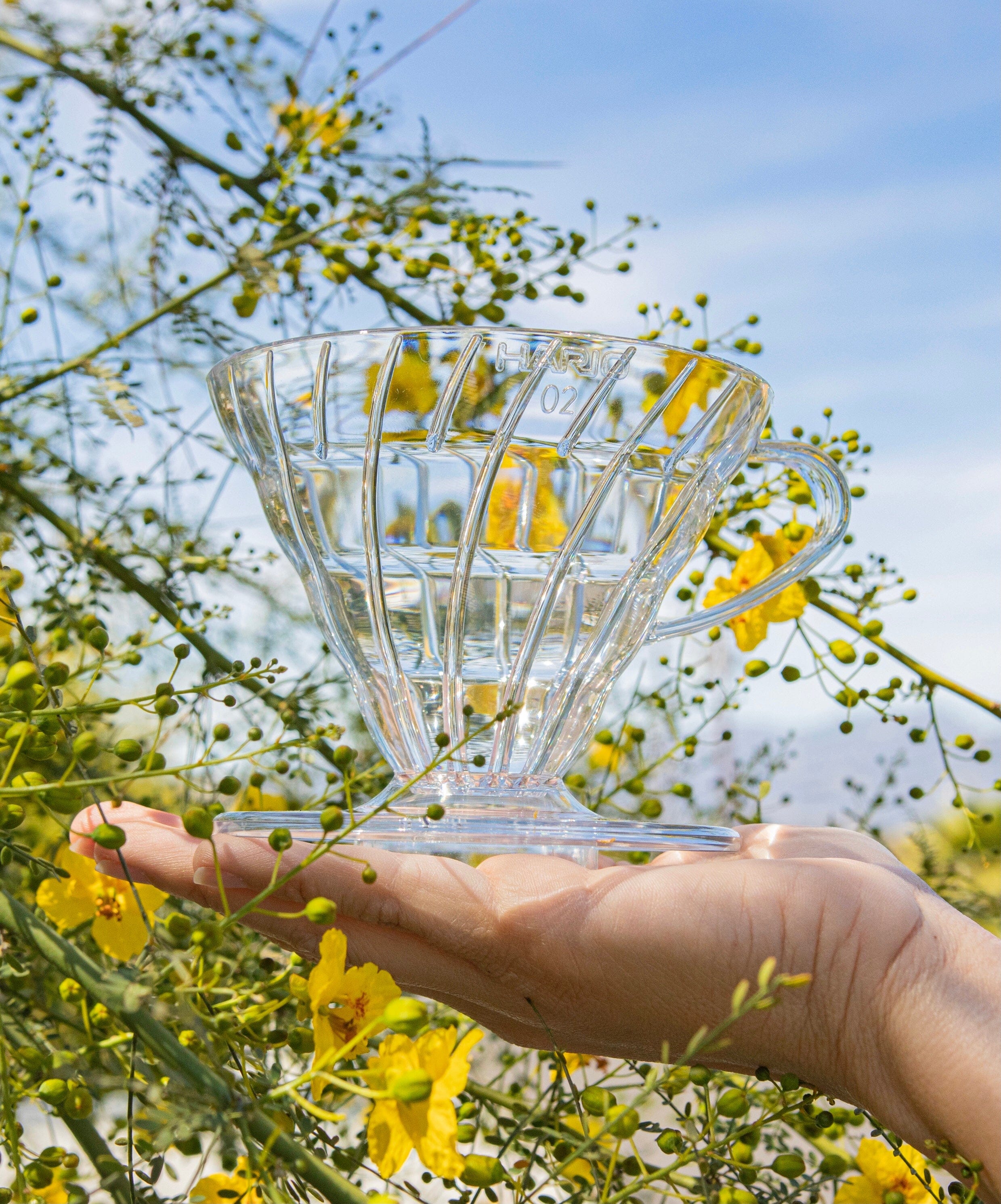 V60 Plastic Coffee Dripper 02 Classic - Image 4